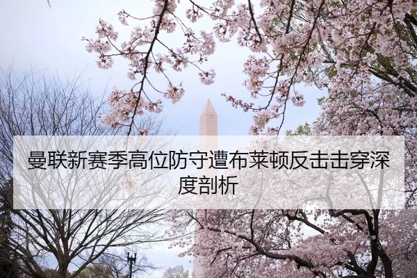 man-lian-xin-sai-ji-gao-wei-fang-shou-zao-bu-lai-dun-fan-ji-ji-chuan-shen-du-pou-xi-2-321.jpg
