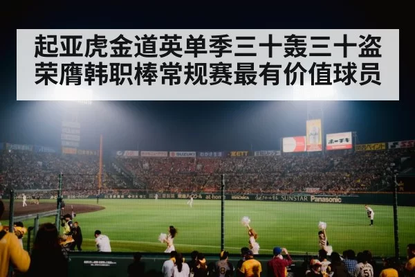 baseball stadium night game
