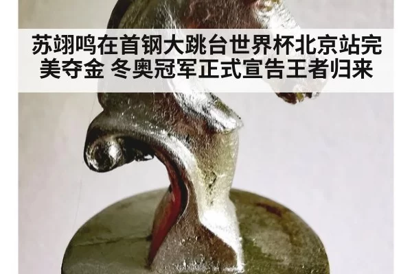 苏翊鸣在首钢大跳台世界杯北京站完美夺金 冬奥冠军正式宣告王者归来